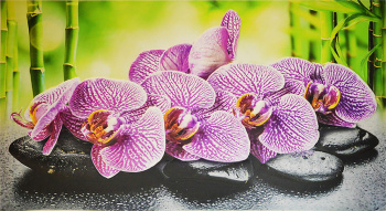 Фартук- панно Орхидея Ванда 602х1002мм