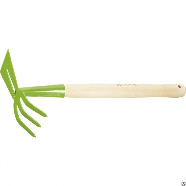 Изображение загружено