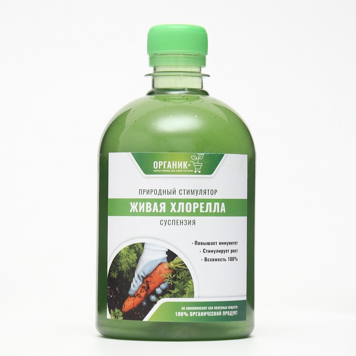 Изображение загружено