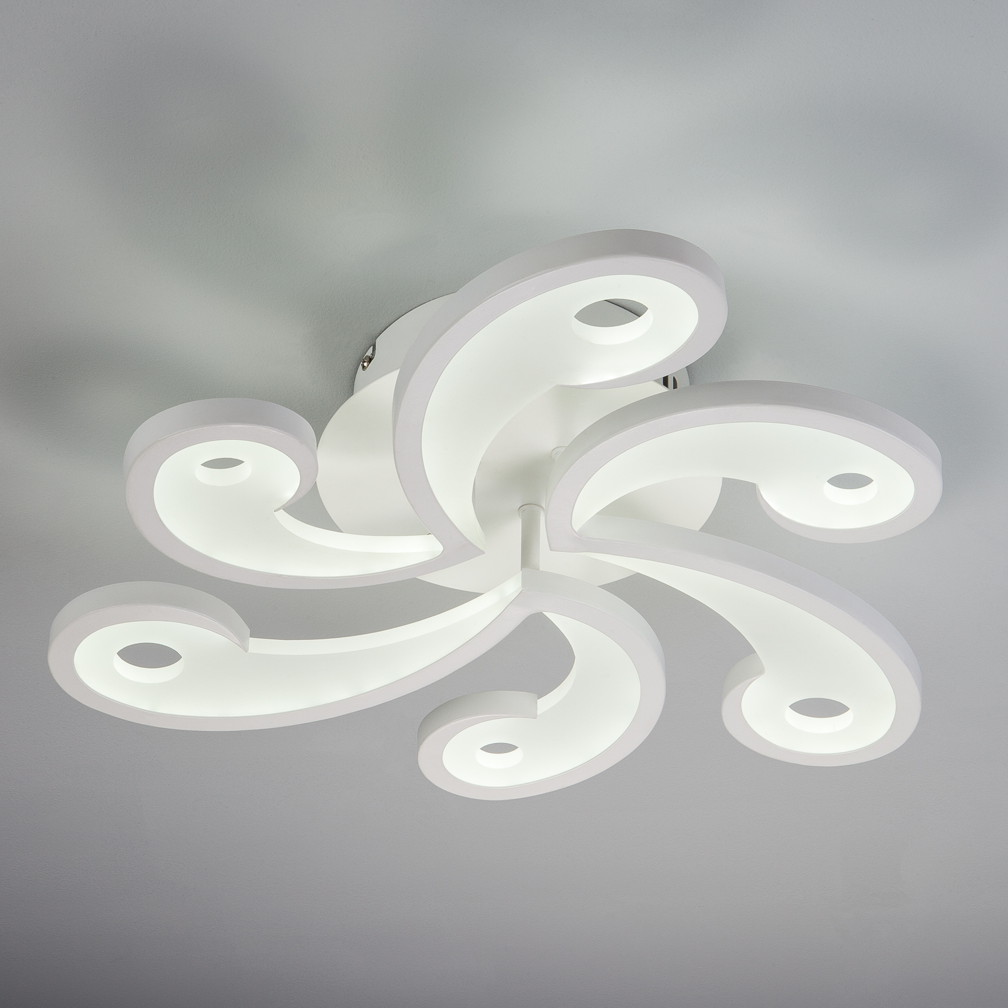 Изображение загружено