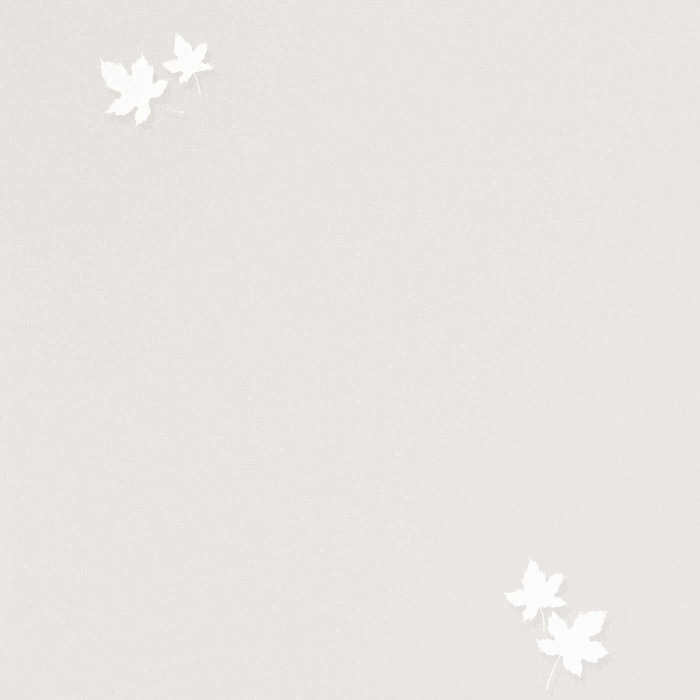 54384-2 Обои флизелиновые Spectrum PRO, мотив серый-белый 1,06х10м