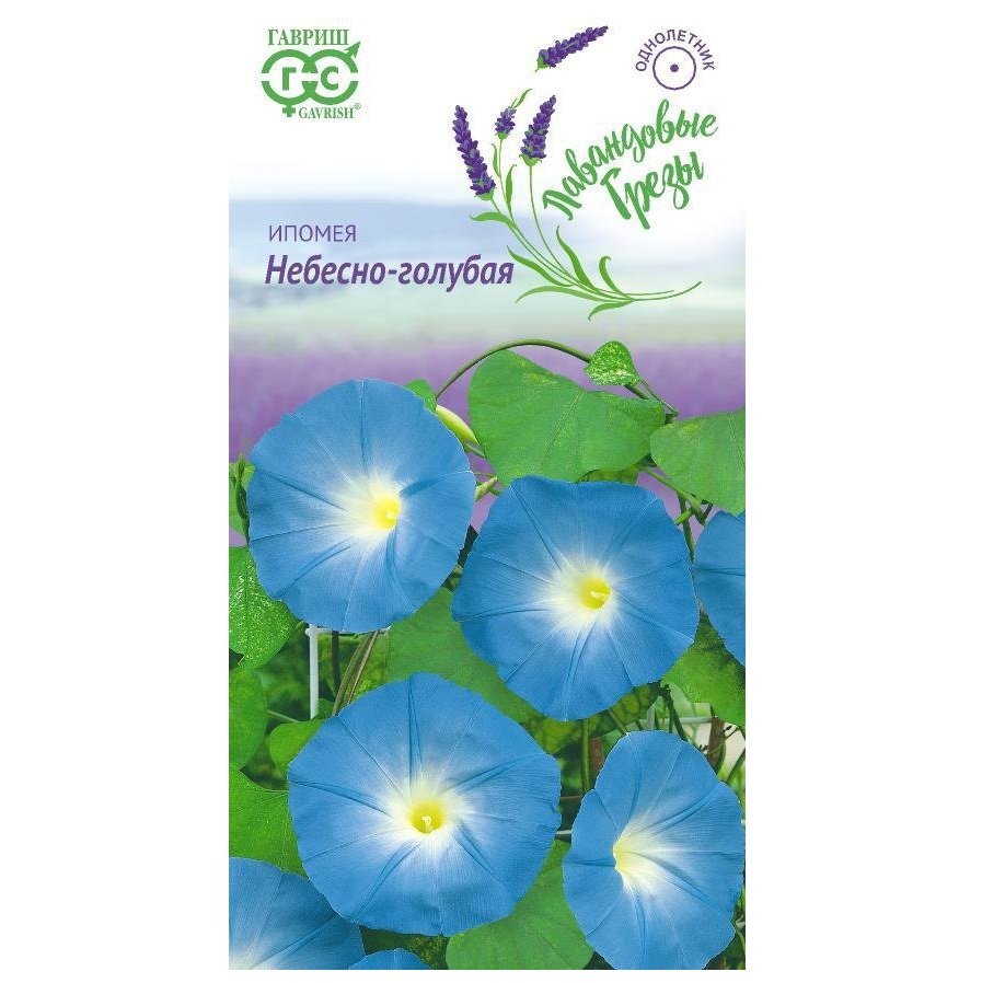 Изображение загружено