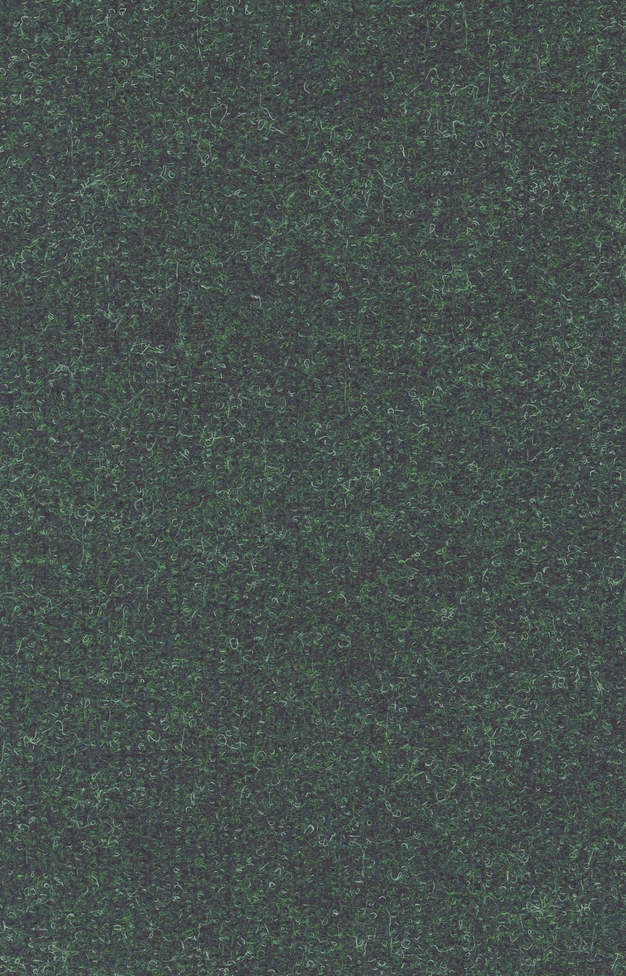 Ковровое покрытие Varegem 624 зеленый - 4,0 м/П-1-10