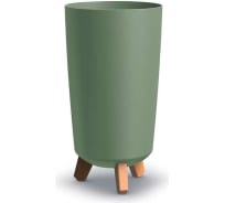 Изображение загружено