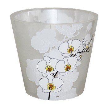 Изображение загружено