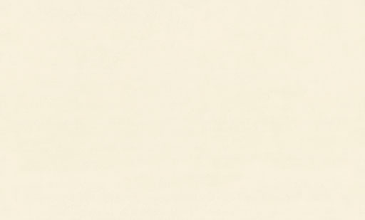 8091-01-раппорт