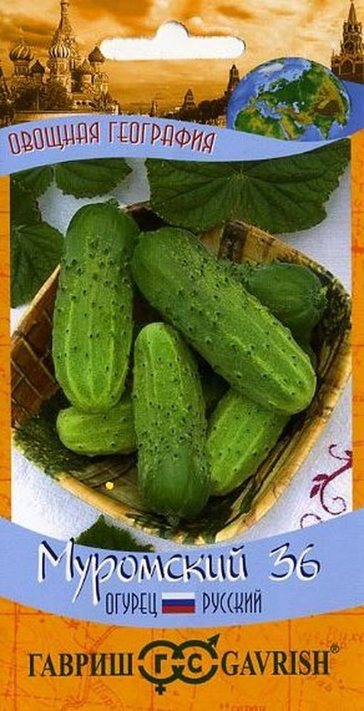 Изображение загружено