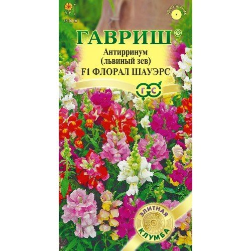 Изображение загружено