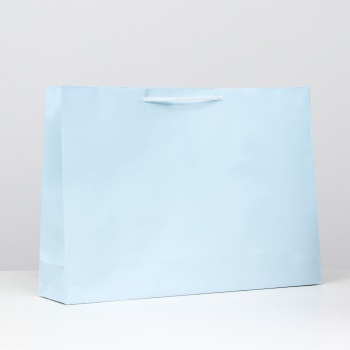 Пакет ламинированный, голубой, 38 х 53,5 х 13 см      