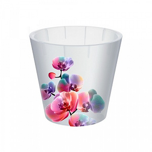 Изображение загружено