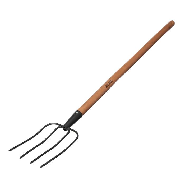 Изображение загружено