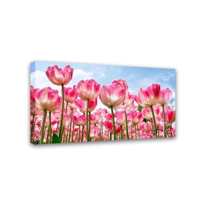 Изображение загружено