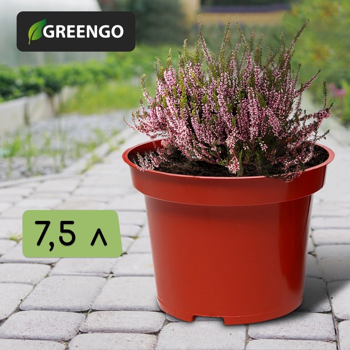 700 - 2026-02-25T154720.274