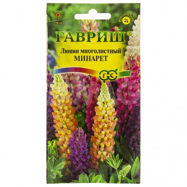 Изображение загружено