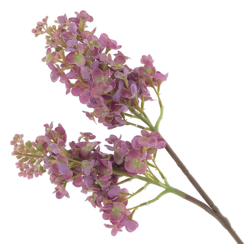 a2b907fa91cf3aedc006dbe33f274c4f