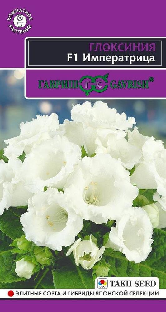 Изображение загружено