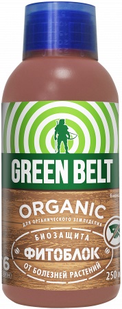 Изображение загружено