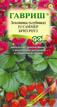 Земляника (Клубника) Саммер Бриз Роуз F1 пробирка 4 шт. Н22