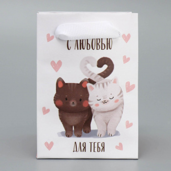 Пакет ламинированный «Котики», 7 × 10 × 7 см         