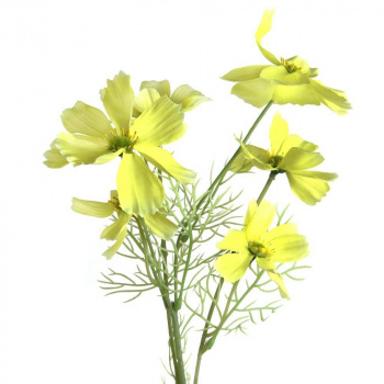 Цветок искусственный "Космея", H58 cм, 6в.