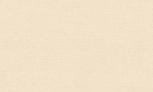 7337-01-раппорт