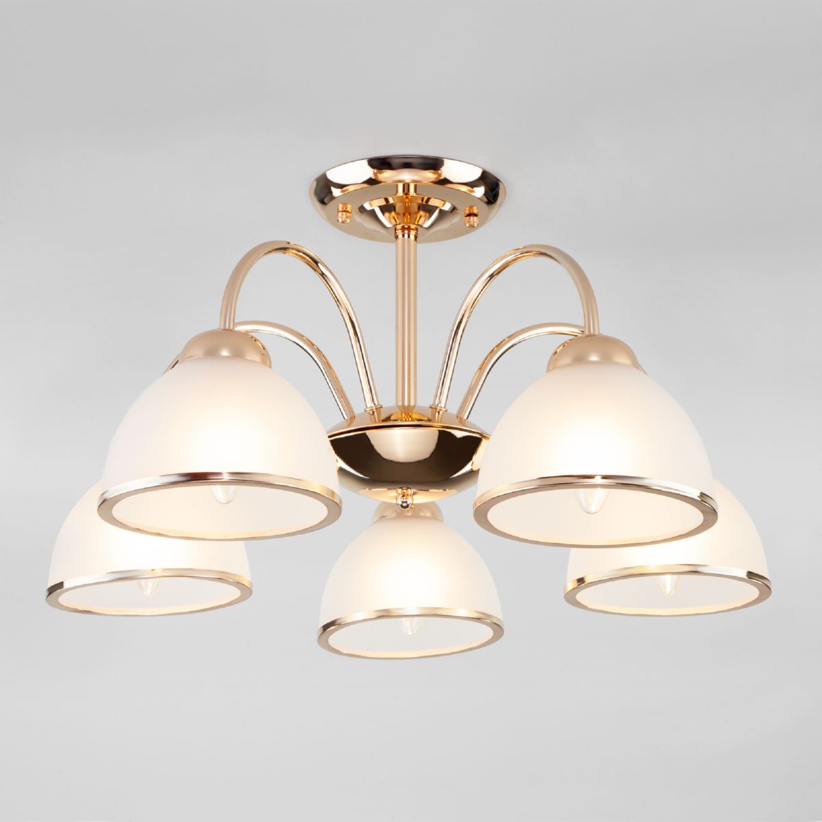 Изображение загружено