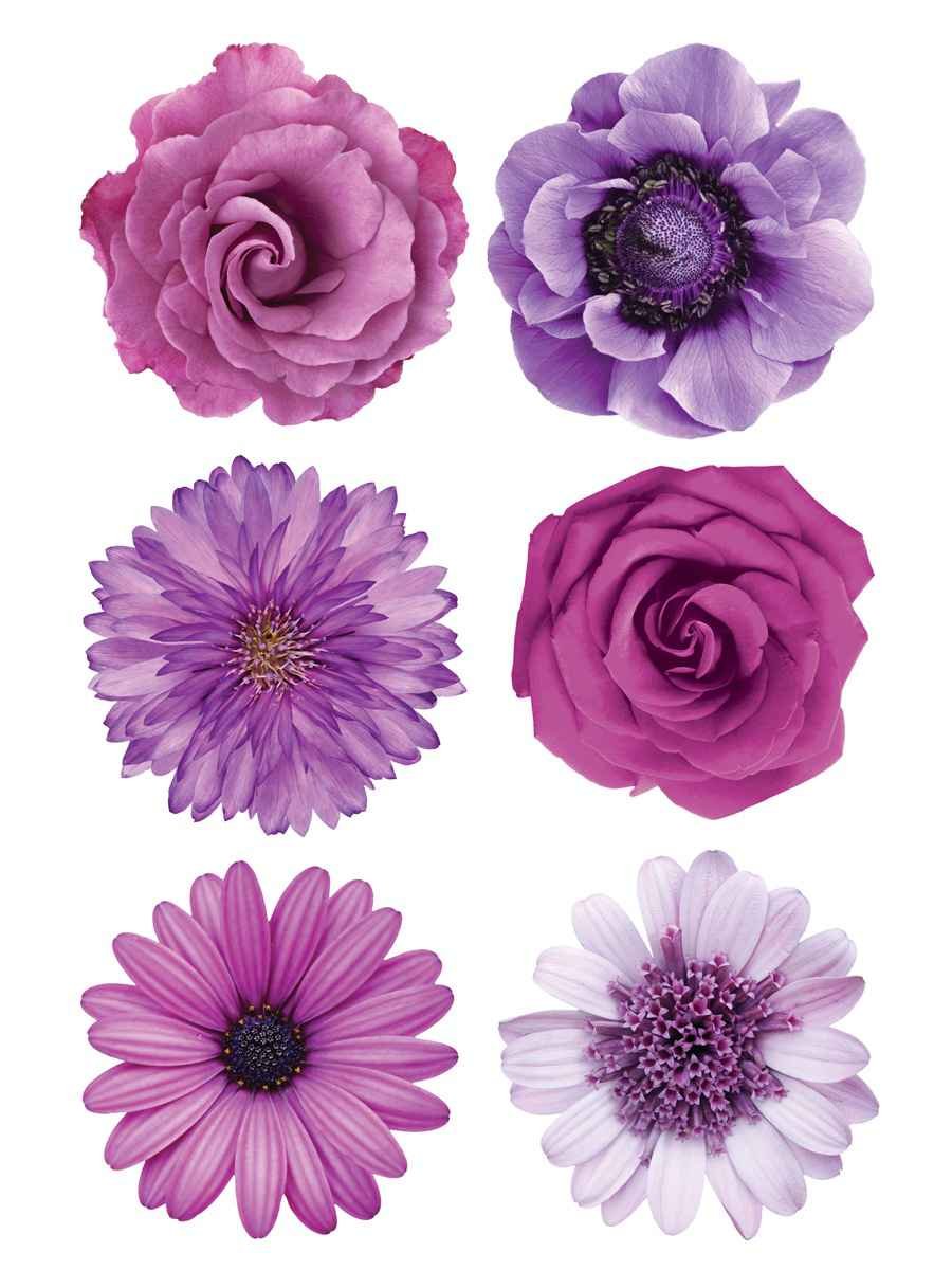 FI 1002 Набор наклеек Сиреневый микс