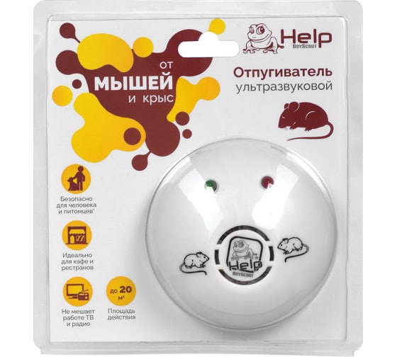 Изображение загружено