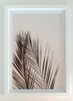 Постер в раме "Ветви пальмы", размер 210*300 ПР-015