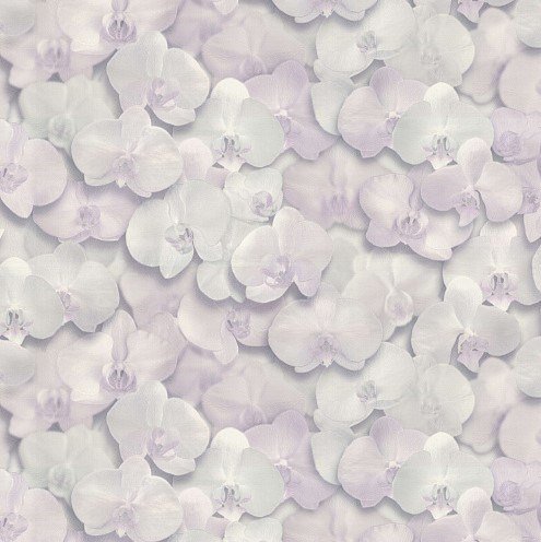 Изображение загружено