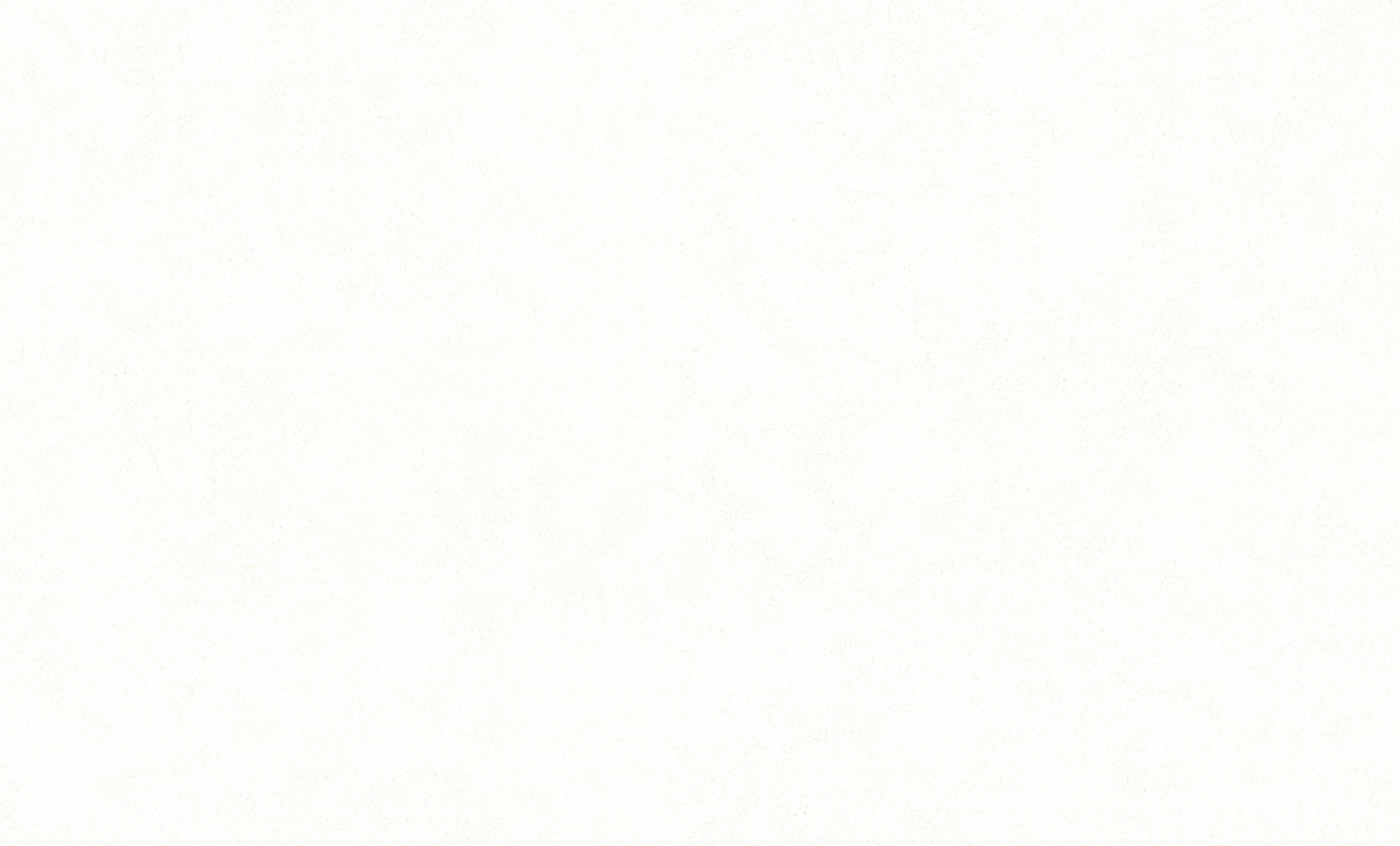 PL72210-11 Обои флизелиновые Salvador фон белый 1,06х10,05м