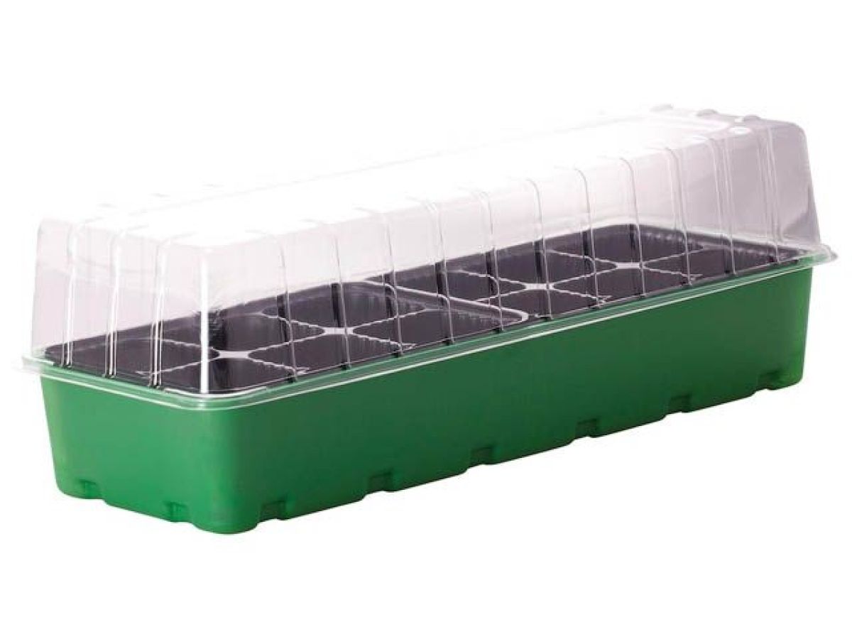 GNg8NVSsc4tsI2cSw5O1i3PoIdmtpCU8vlQpNRQk-1200x900