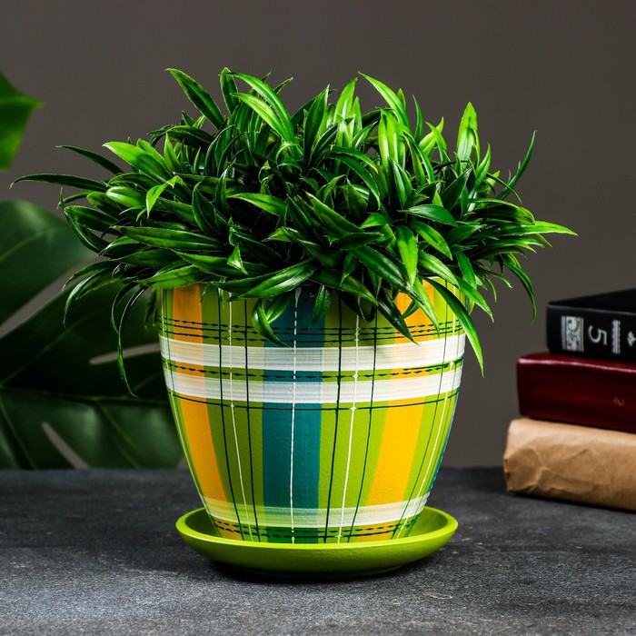 Изображение загружено