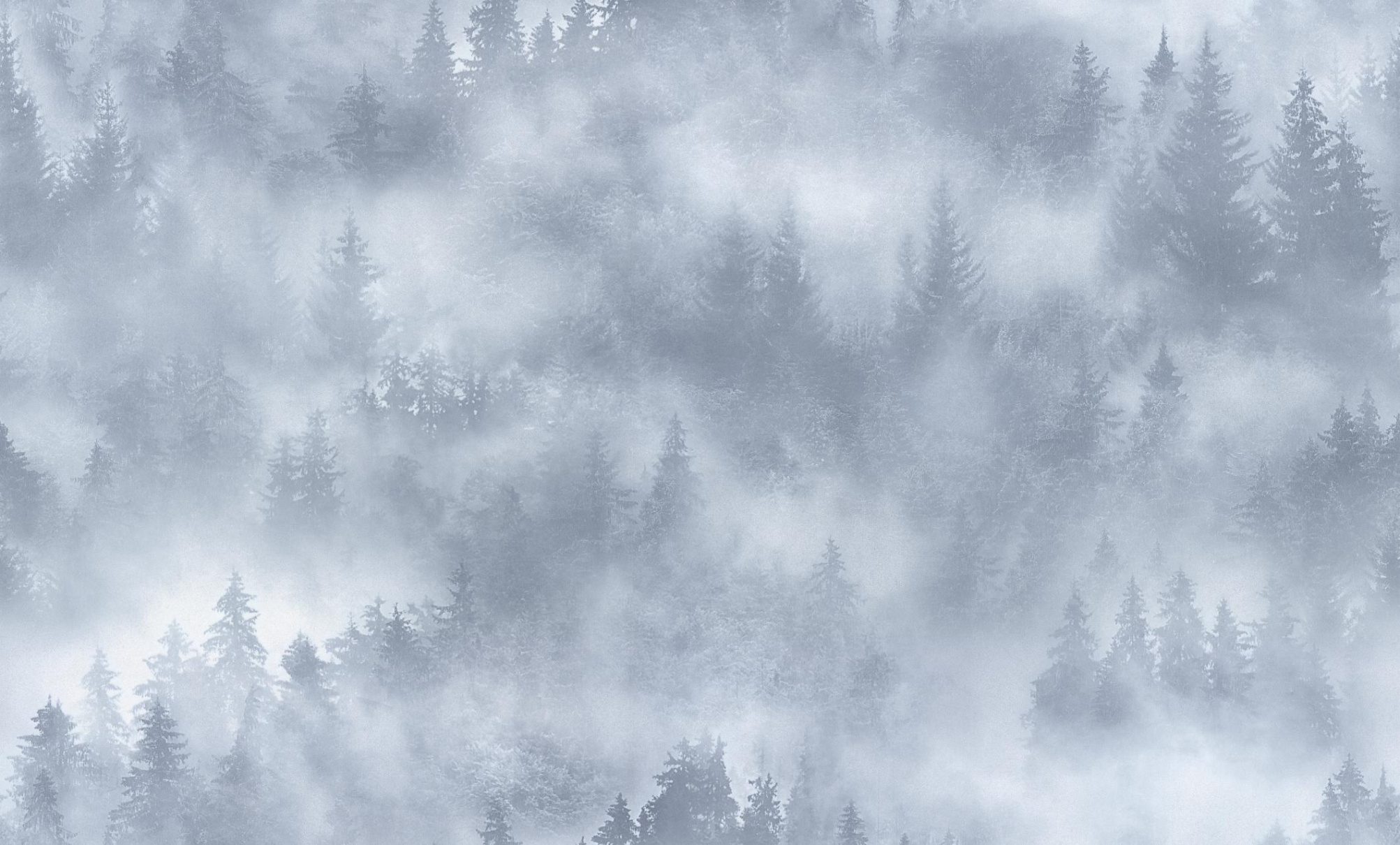 HC71960-46 Обои флизелиновые My Forest мотив серый 1.06x10м