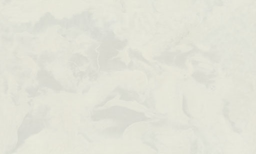 7289-00-раппорт