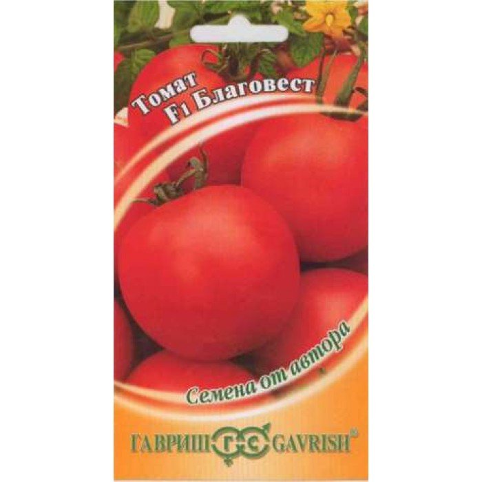 Изображение загружено