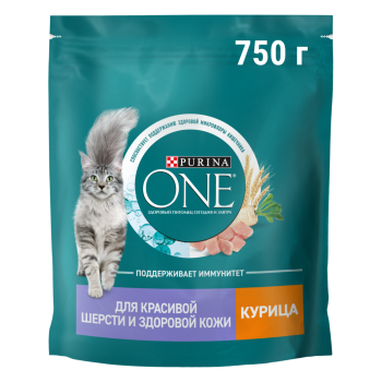 Корм сухой Purina ONE для красивой шерсти кошек с курицей 750г