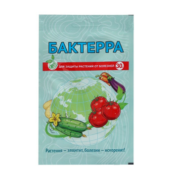 Изображение загружено