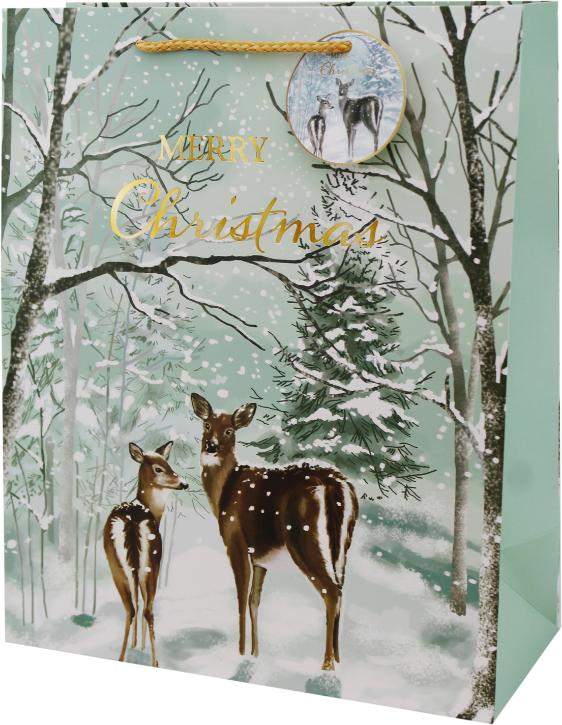 o1d848206-8458-11ef-8ee7-74563c0e8674