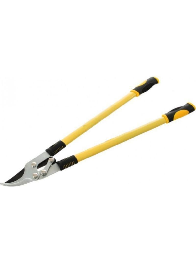 Изображение загружено