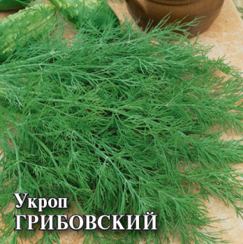 Укроп Грибовский 25,0 г