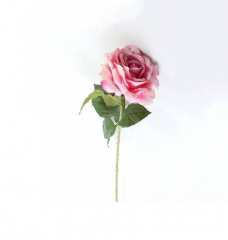 Роза одиночная розовая, h=70 см (CH09600425-3)