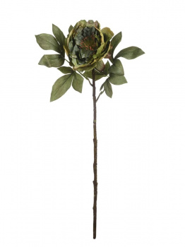 Цветок искусственный"Пион зеленый", В 630 мм
