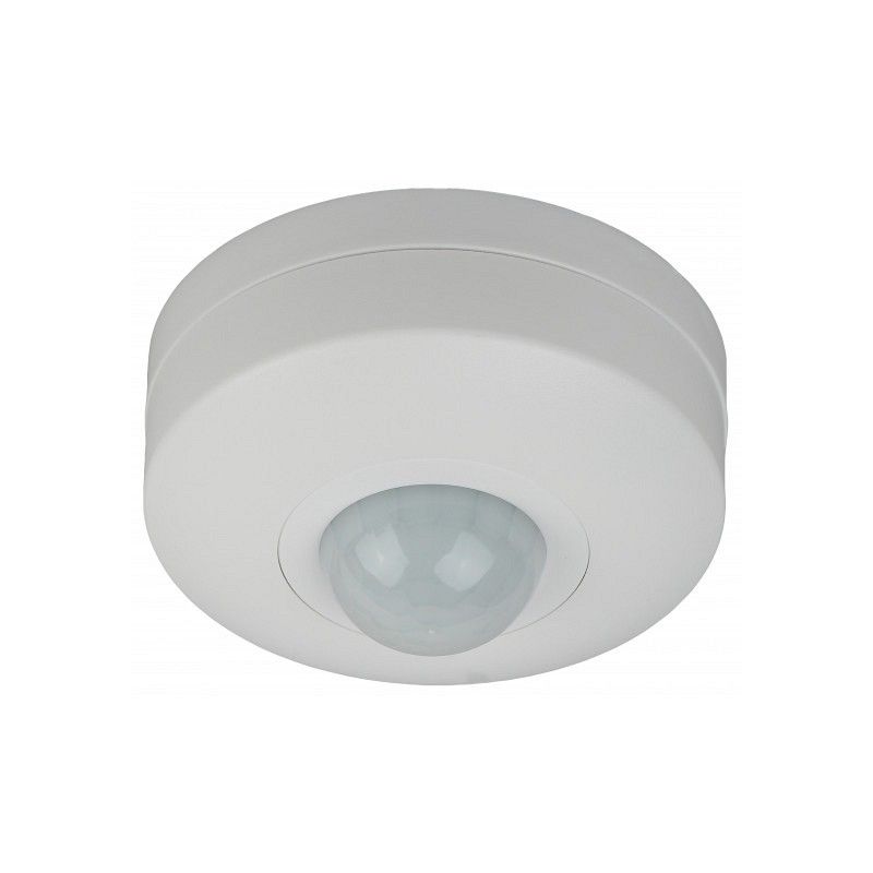 Изображение загружено