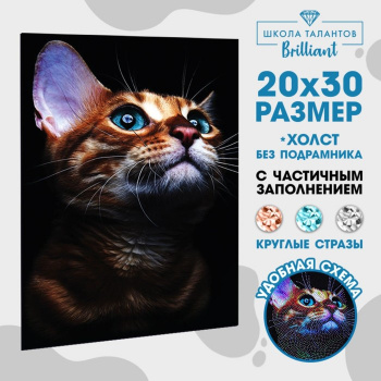 Мозаика алмазная «Взгляд кошки» 20х30 см.