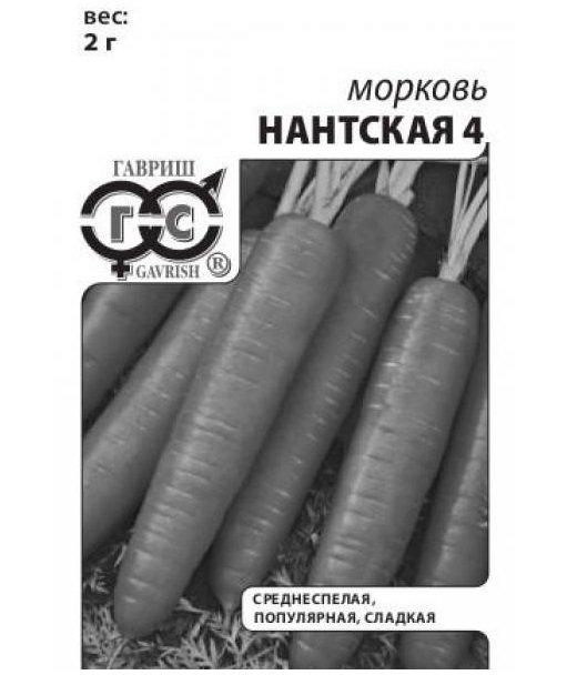 Изображение загружено