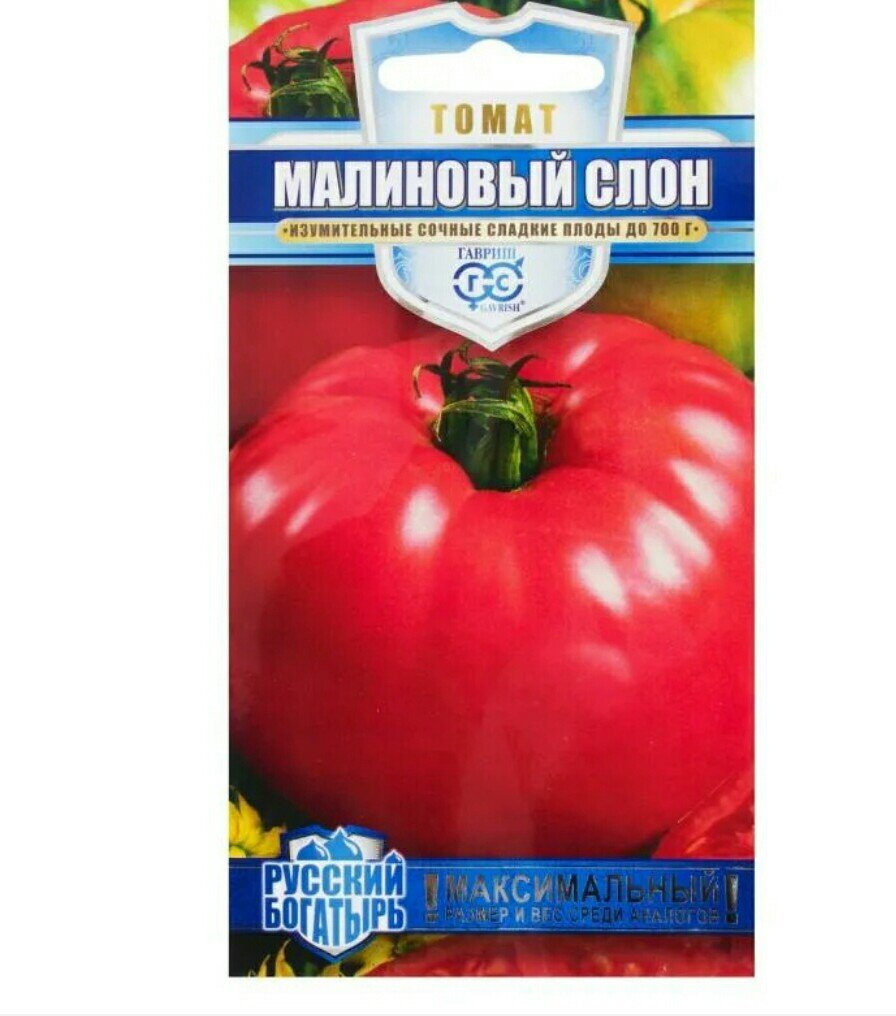 Изображение загружено