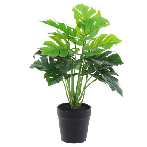 2d59aa52473f868bab2db3c2bc1a2d25