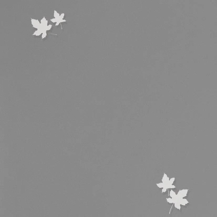 54384-5 Обои флизелиновые Spectrum PRO, мотив темно-серый 1,06х10м