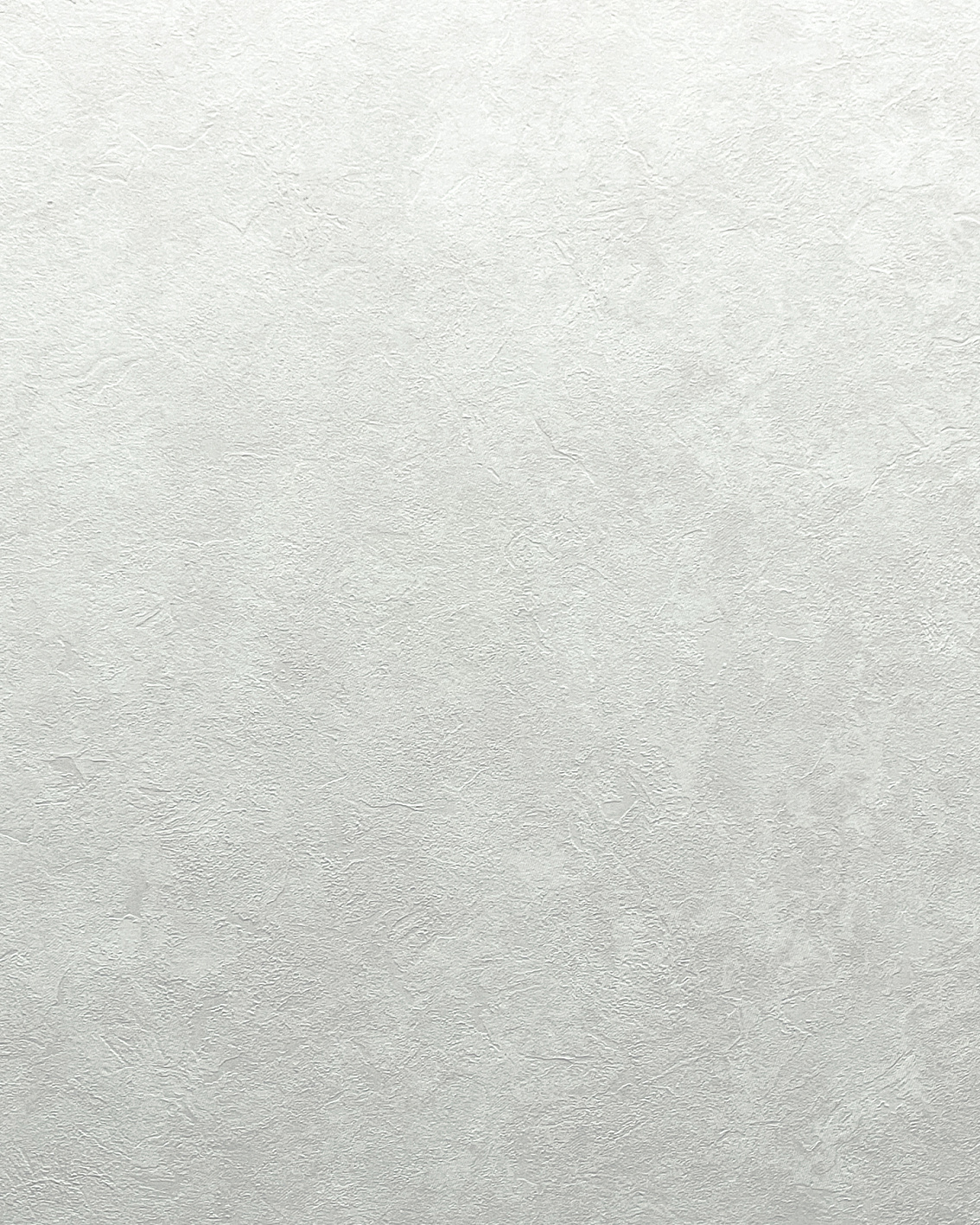 SL8873-03 Обои флизелиновые Soft Air, фон светло-серый 1,06x10м